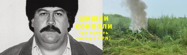 apvp Осинники