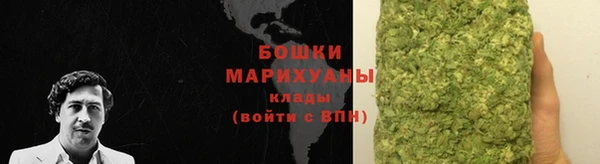 apvp Осинники